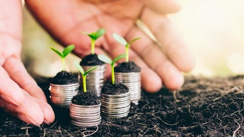 Business Winners – Learn how to grow your small business