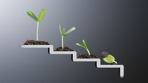 Strategies for Growth and Improvement